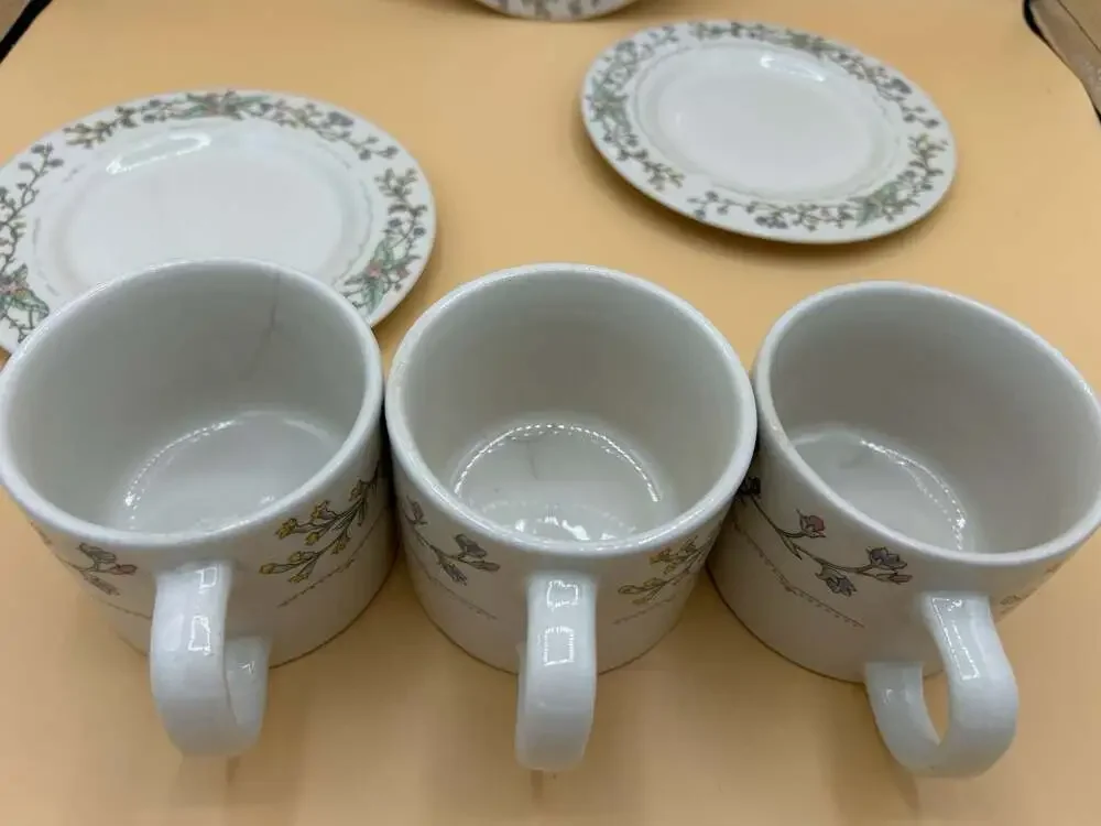 Farberware Fine China Wellesley 486 Teacup and Saucer Set
